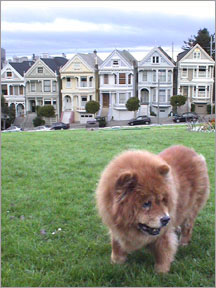 Alamo Square